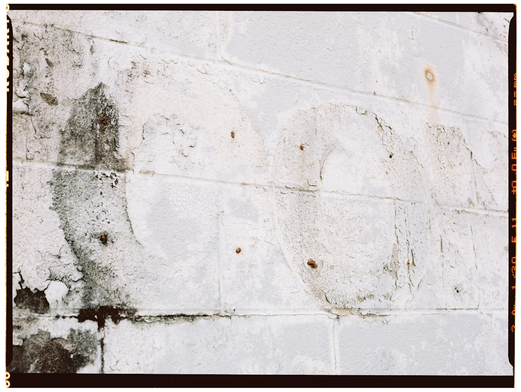 Flood Cleanup service in Cheyenne, WY