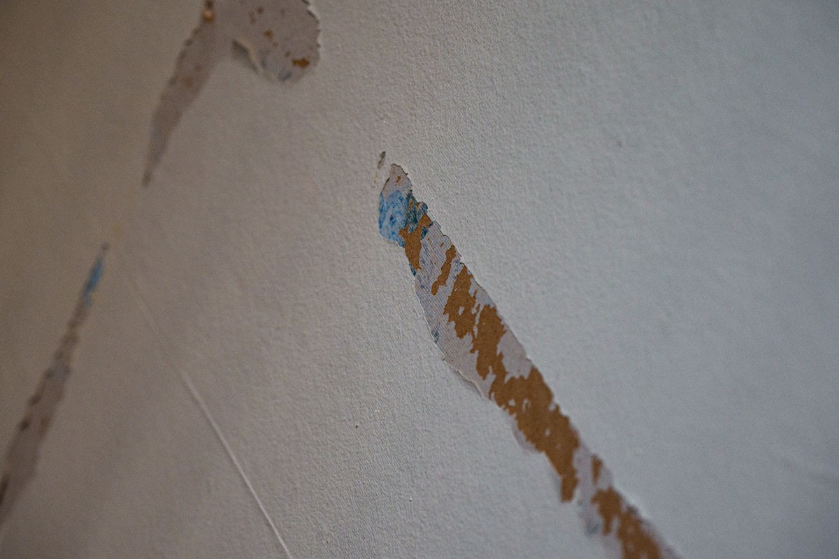 Water Extraction service in Cheyenne, WY